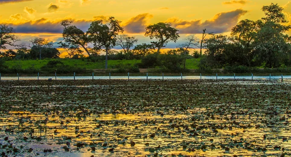 Foz do Iguaçu