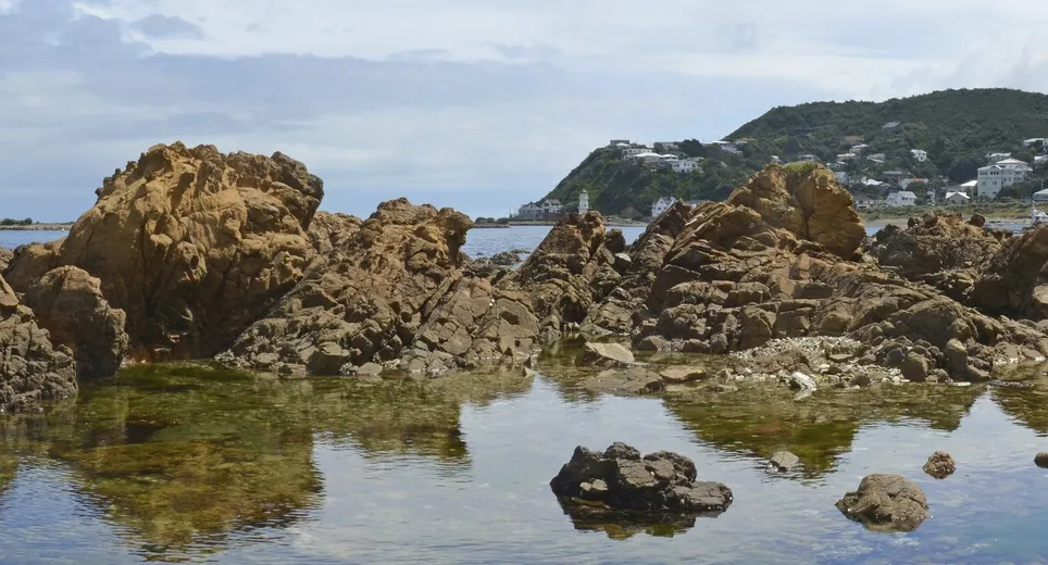 Wellington