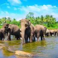 Colombo