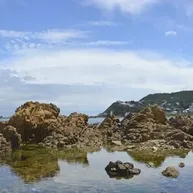 Wellington